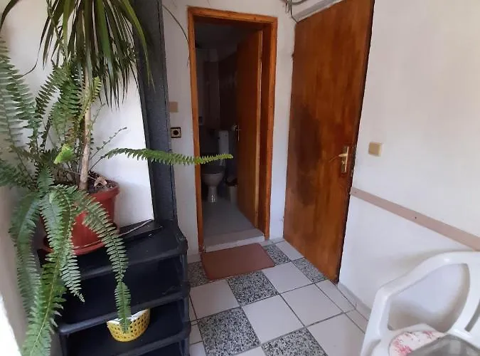 崔凯亚别墅酒店 招待所 金沙