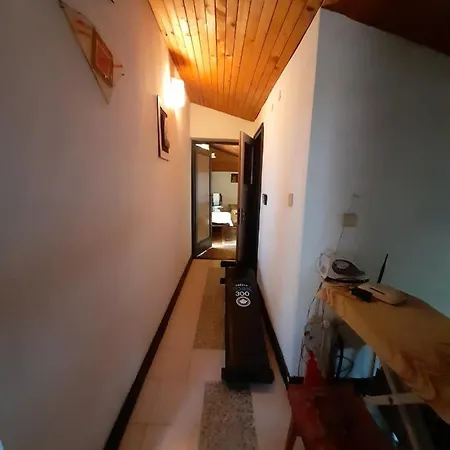 Trakia Pensjonat Złote Piaski